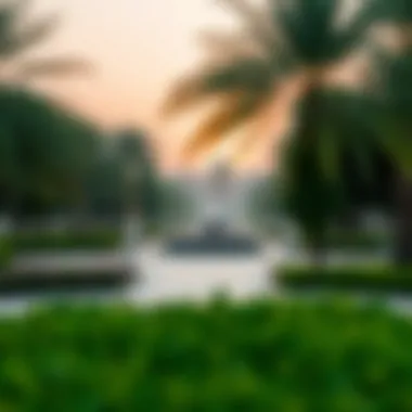Magnificent An In-Depth Exploration of Parks in Khalifa City