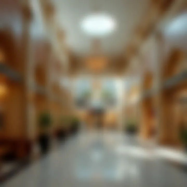 Magnificent Comprehensive Guide to Renting Shops in Al Quoz 4