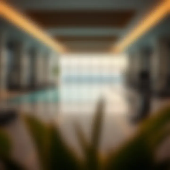 Luxurious amenities of Al Jaddaf Star Residence including pool and gym