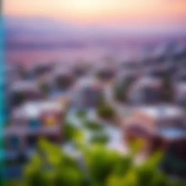 Scenic view of Al Shaab Village showcasing community layout