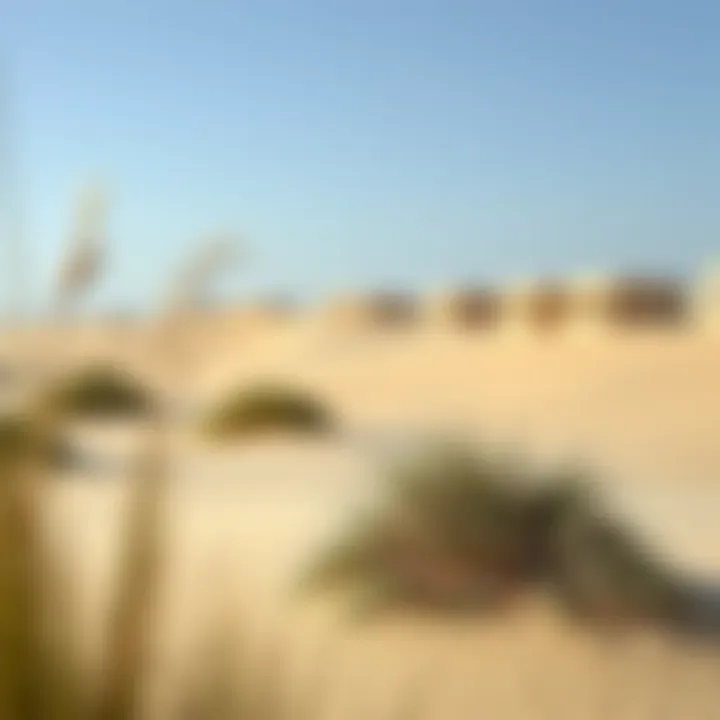 Environmental Features of Dune Properties Close-up of sand dunes highlighting environmental features and landscaping