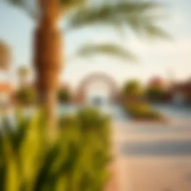 Community Lifestyle and Amenities in Riverland Dubai Community amenities and lifestyle features surrounding Riverland Dubai