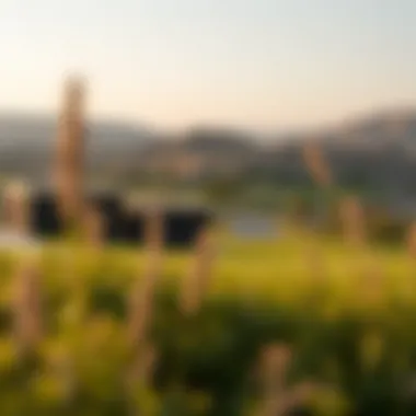 Scenic landscape highlighting the charm of Al Ameera Village.