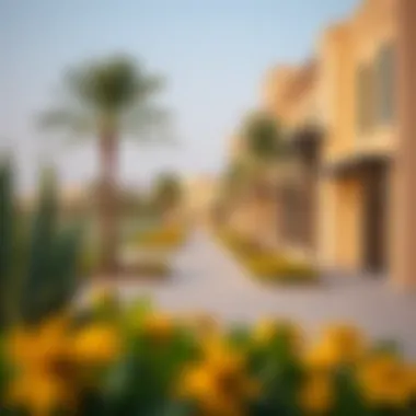 Local amenities and parks in Al Heerah