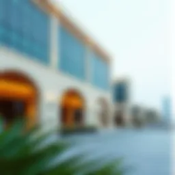 Exploring Al Mwaihat 2: A Comprehensive Guide to Dubai's Real Estate Landscape Introduction