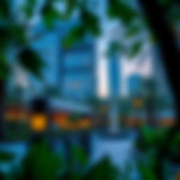 Exploring DIFC Park: An Urban Oasis in Dubai's Financial District Summary