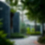 Serene park in Dubai with lush greenery