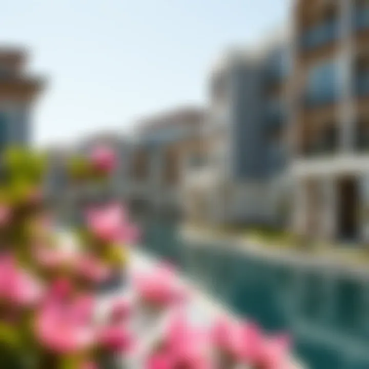 Urban development surrounding Flamingo Lake