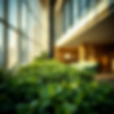 Commitment to Sustainability Sustainable practices in action at the hotel