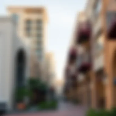 Vibrant Neighborhood in Dubai A vibrant neighborhood in Dubai with local amenities