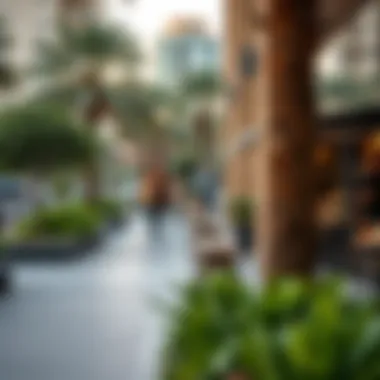 Amenities in Bur Dubai, featuring parks, cafes, and shops