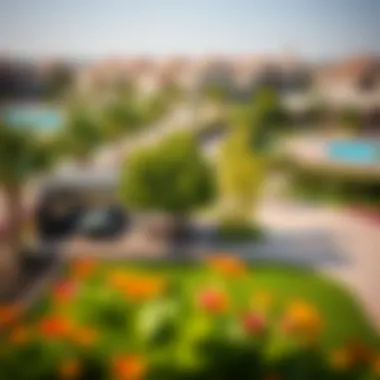 Vibrant community park with amenities