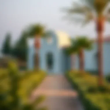 Investment Opportunities in Jumeirah An overview illustrating the investment prospects in Jumeirah's agricultural lands