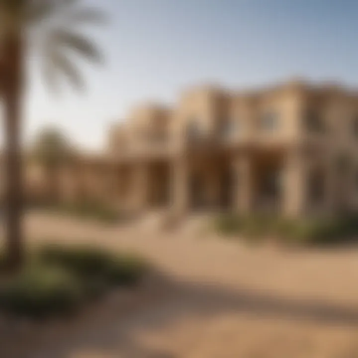 Exploring the Payment Plan Options for Arabian Ranches 3 Summary