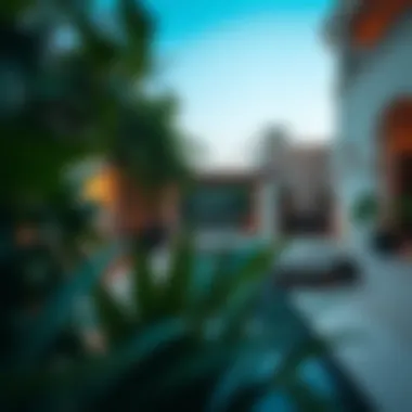 Serene Villa Outdoor Area in Abu Hail Peaceful outdoor space of a villa with lush greenery.
