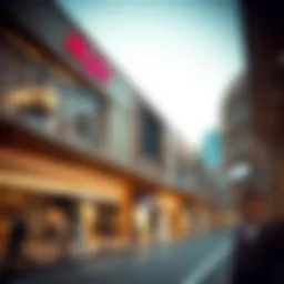Exploring وحده مول: An Insight into Dubai's Retail Landscape Introduction
