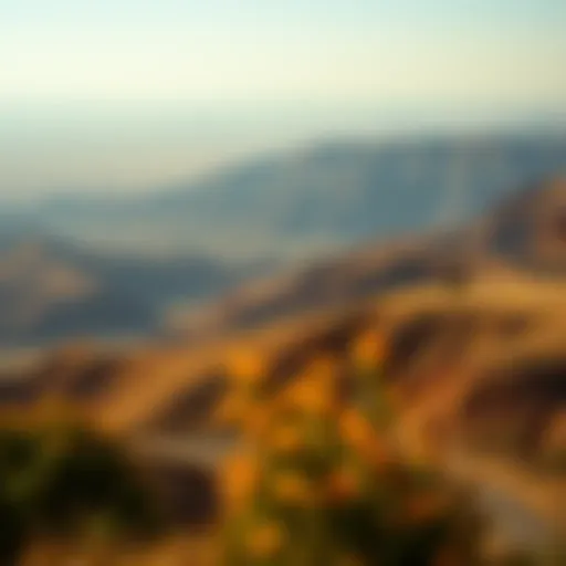 Breathtaking Scenery of Zakhir Panoramic view of Zakhir region showcasing its unique landscapes