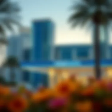 Government services offered at Tasheel