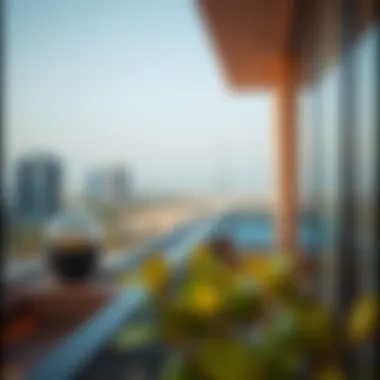 Stunning view from Icon Deluxe Hotel Apartments balcony