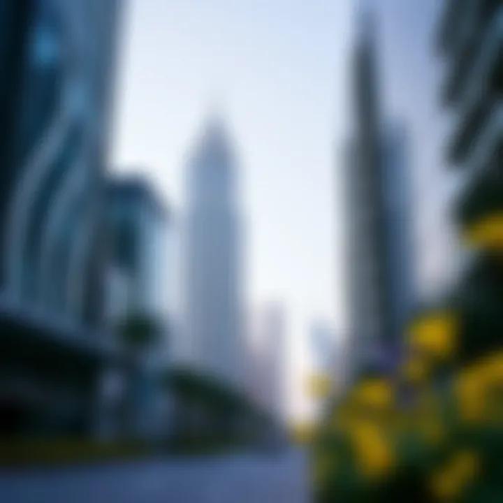 Real estate investment potential surrounding Latifa Towers