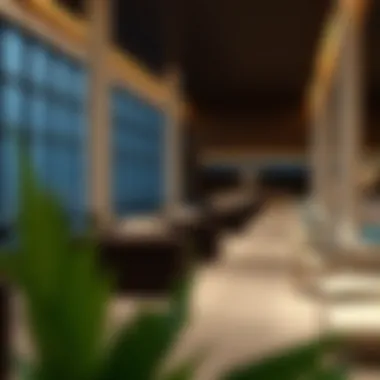 Amenities and leisure areas within Luna Residence for residents