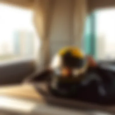 Notable Navigating the 24-Hour Tasjeel Service in Dubai: A Comprehensive Guide Notable Navigating the 24-Hour Tasjeel Service in Dubai: A Comprehensive Guide