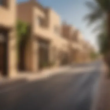 Vibrant neighborhood street in Al Zahia