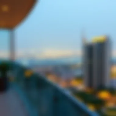 Panoramic view from the Ritz Carlton Residences balcony