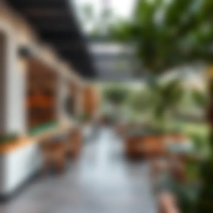 Modern cafes and green spaces in the Tecom area, illustrating lifestyle amenities.