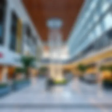 The Evolution of Heli Mall: A Comprehensive Overview Summary