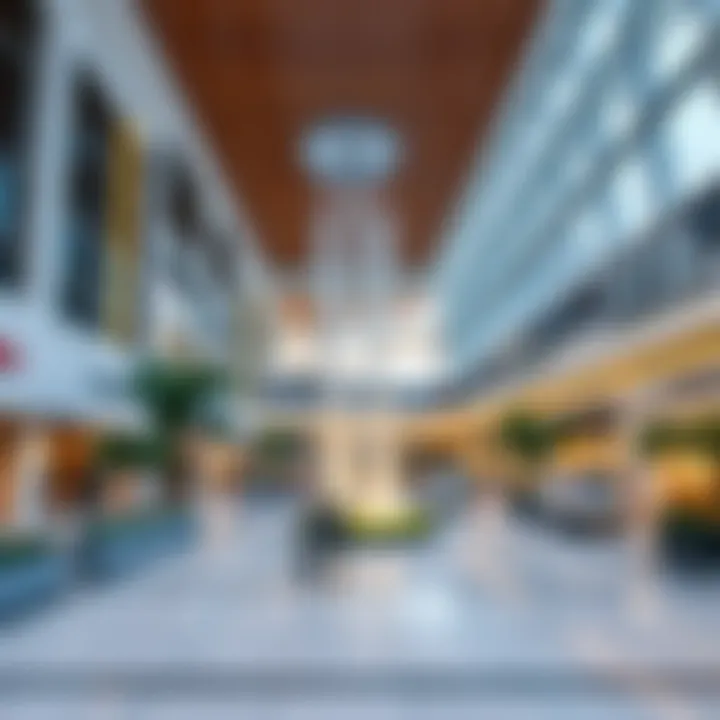 The Evolution of Heli Mall: A Comprehensive Overview Summary
