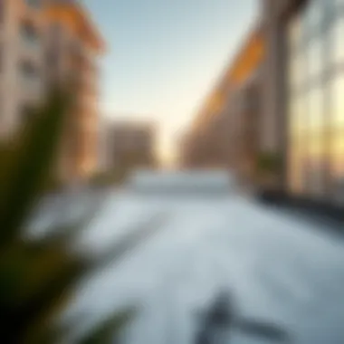 Architectural Blueprint of Luxury Apartment An architectural blueprint of a luxury apartment in Dubai